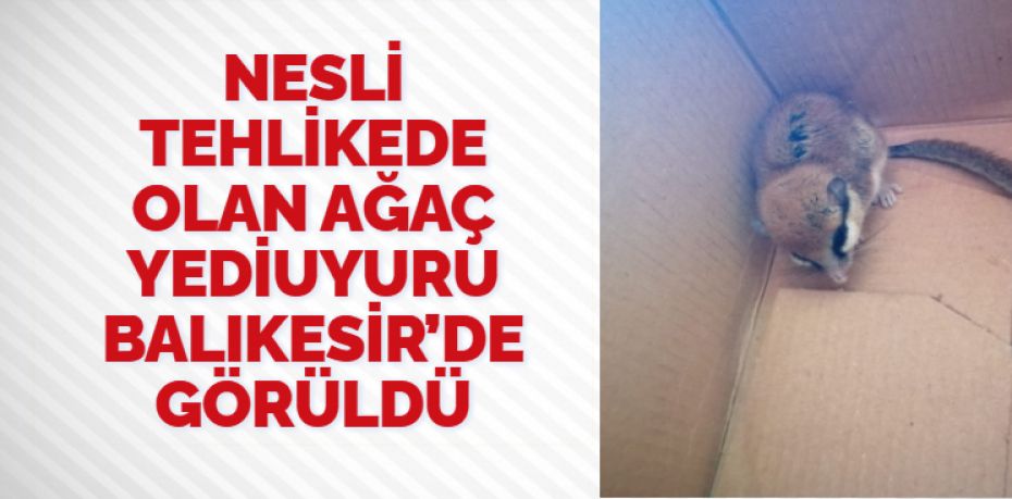 Balıkesir’in Altıeylül ilçesinde bağlı