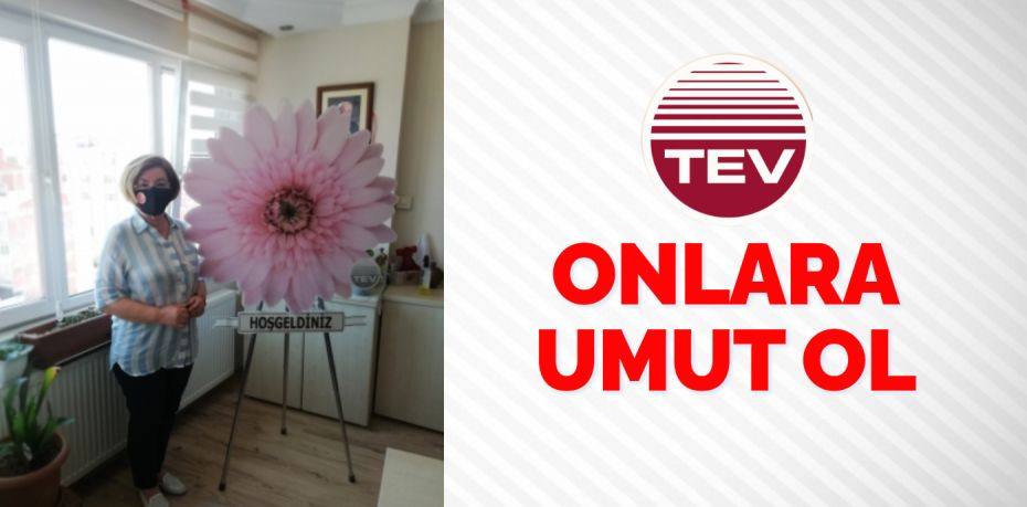 Türk Eğitim Vakfı (TEV),