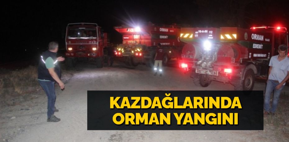 Balıkesir’in Edremit ilçesinde Kazdağları’nda