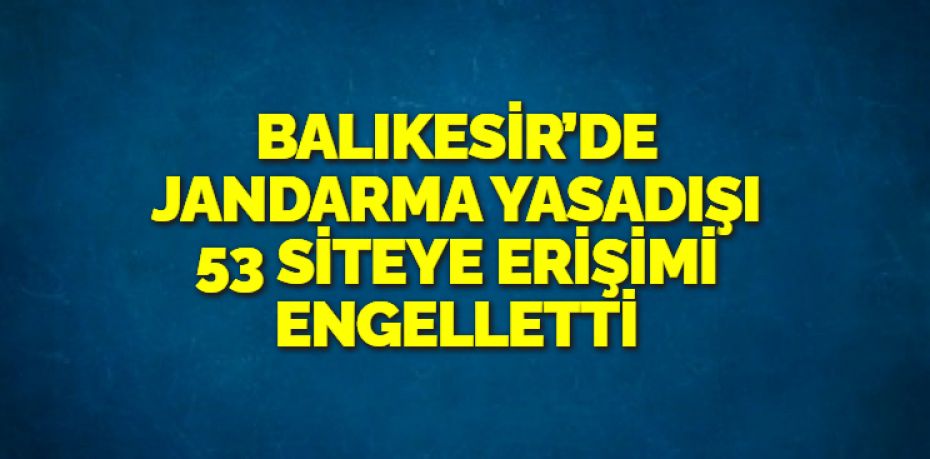 Balıkesir’de jandarma ekipleri siber