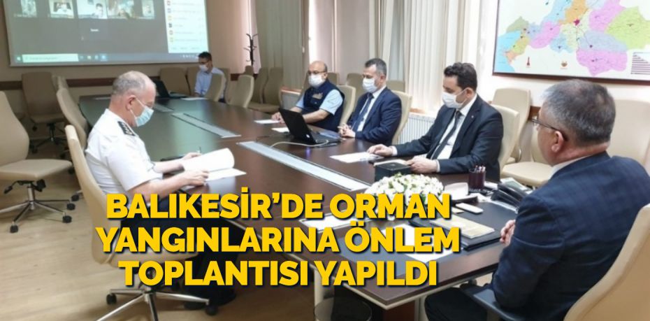 'Balıkesir İli Orman Yangınları