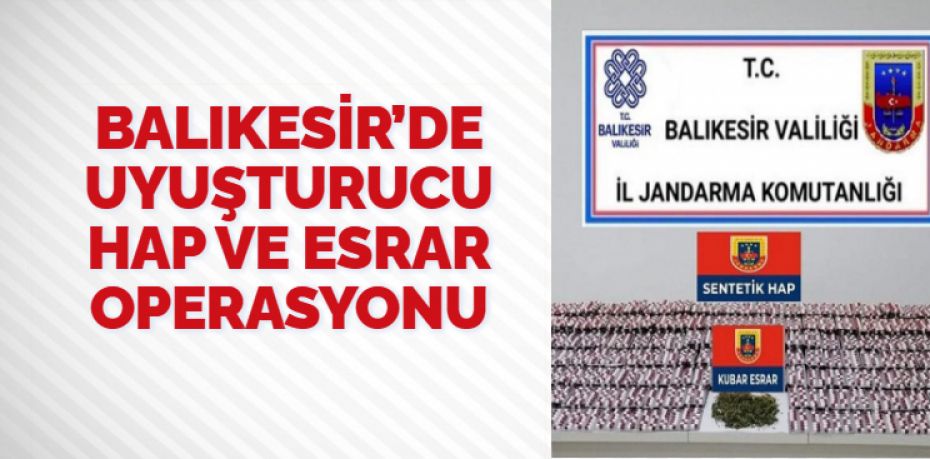 Balıkesir’in Altıeylül ilçesinde jandarma