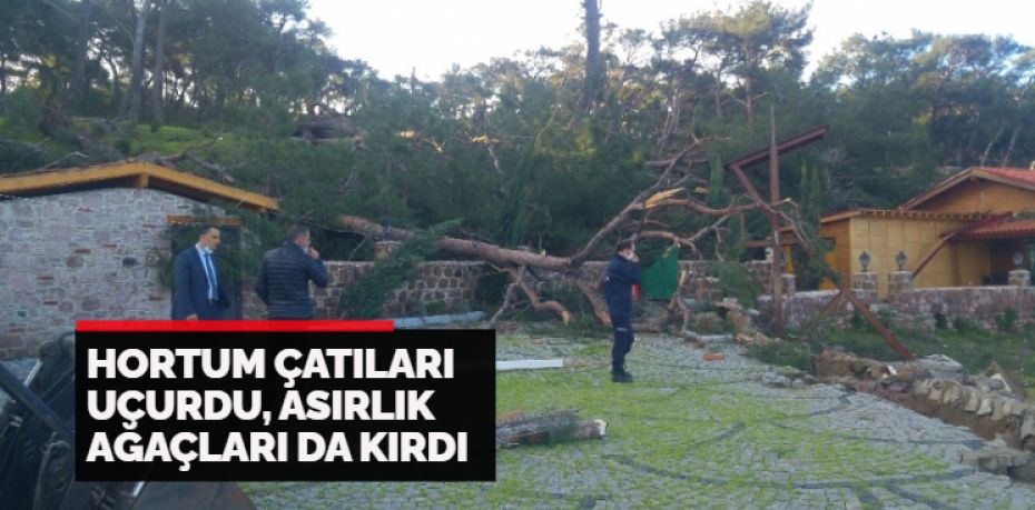 Balıkesir’in Ayvalık ilçesinde hortumun