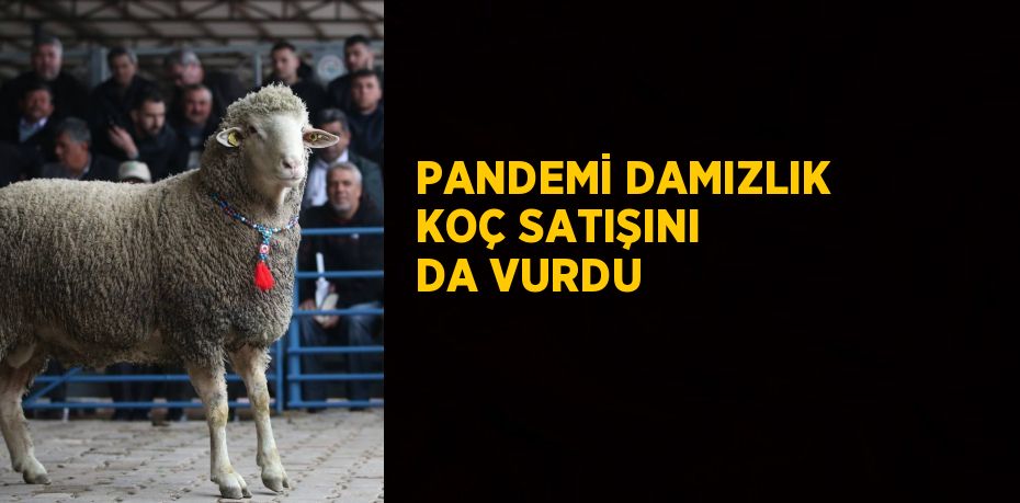 Balıkesir’in Bandırma ilçesinde bulunan