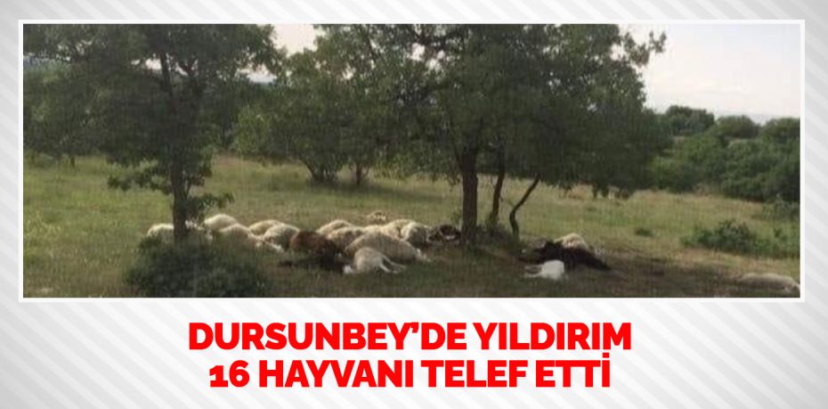 Dursunbey ilçesinde sağanak yağış