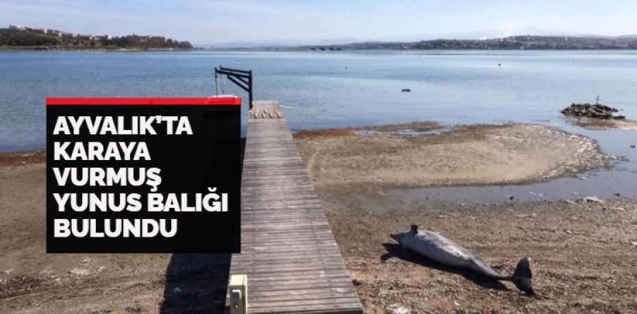 Balıkesir’in Ayvalık ilçesinde bir