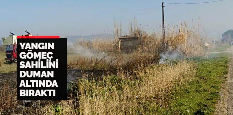 Balıkesir’in Gömeç ilçesi sahilinde