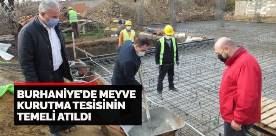 Balıkesir’in Burhaniye ilçesinde, meyve