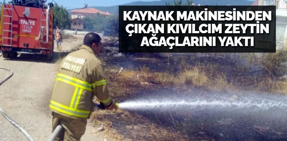 Balıkesir’in Edremit ilçesinde kaynak