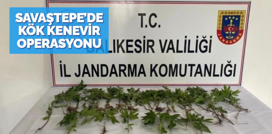 Savaştepe ilçesinde jandarma ekipleri