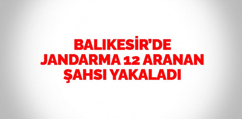 Balıkesir’de jandarma ekipleri il