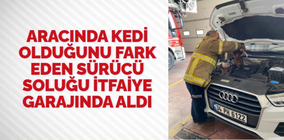 Balıkesir’in Edremit ilçesinde aracında