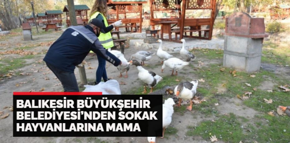 Balıkesir Büyükşehir Belediyesi, korona