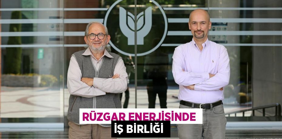 Türkiye'nin rüzgar enerjisi alanında