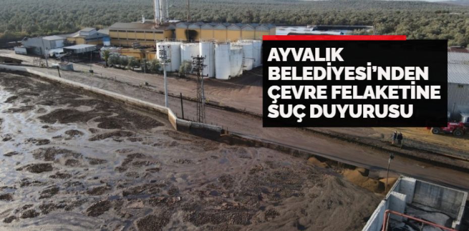 Balıkesir’in Ayvalık ilçesinde, çevre