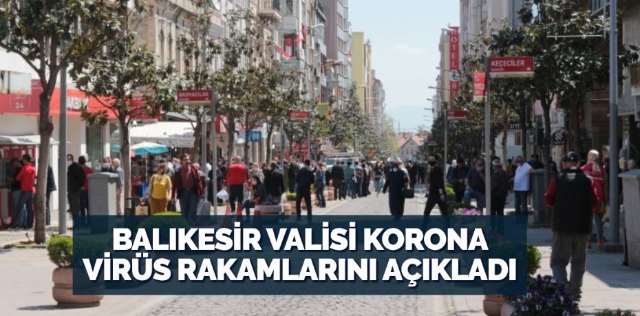 Balıkesir Valisi Ersin Yazıcı,