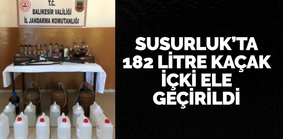 Susurluk ilçesinde jandarma ekipleri