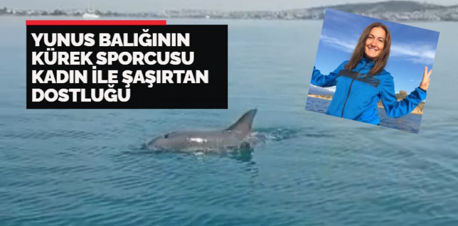 Balıkesir’in Ayvalık ilçesinde, sevimli