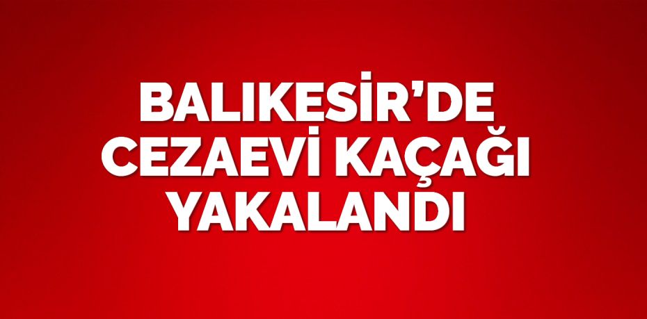 Balıkesir’in Bigadiç ilçesinde kasten