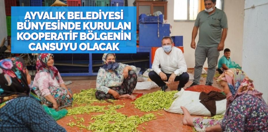 Balıkesir’in Ayvalık ilçesinde; Belediye