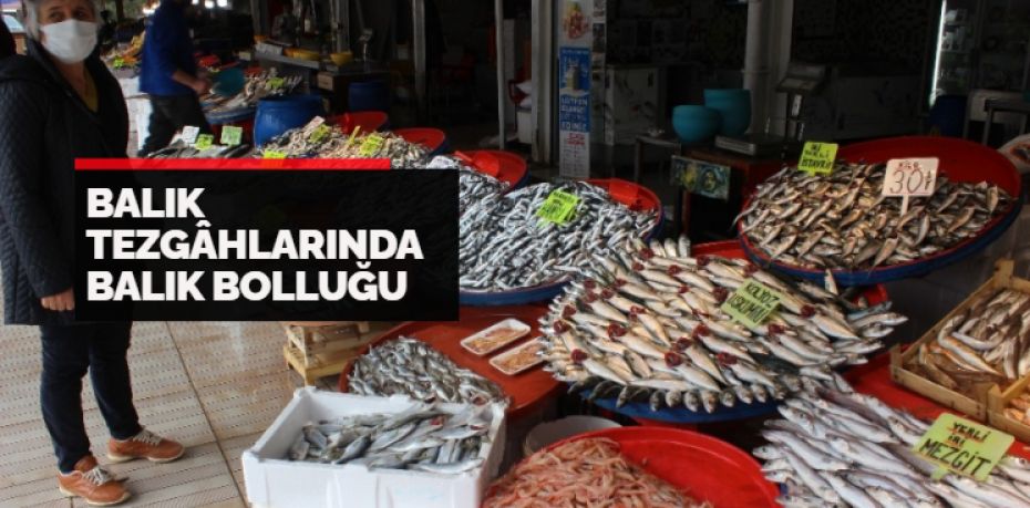 Balıkesir Büyükşehir Belediyesi Bandırma