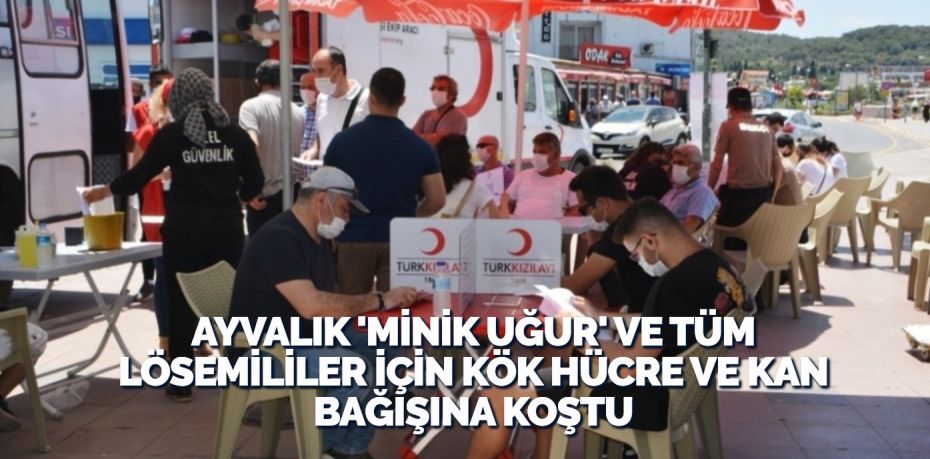 Balıkesir’in Ayvalık ilçesinde, AML