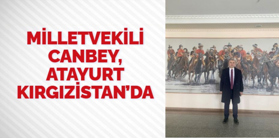 AK Parti Balıkesir Milletvekili