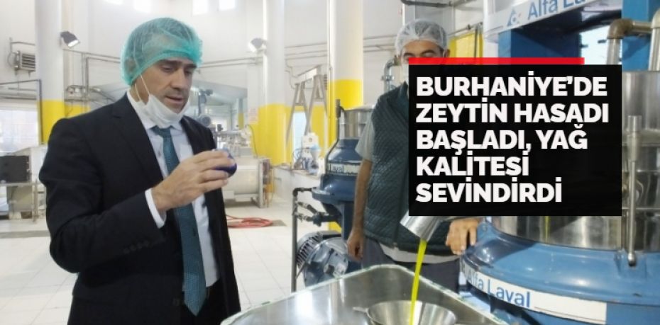 Türkiye’nin en önemli zeytin