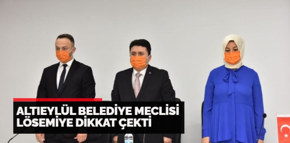 Altıeylül Belediye Meclisi Kasım