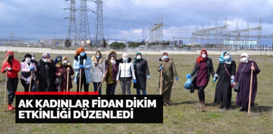 Balıkesir’in Bandırma ilçesinde Ak