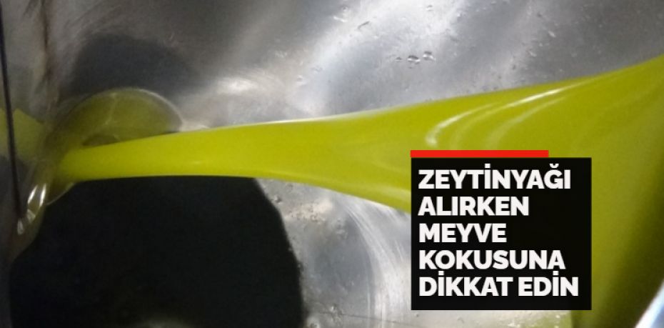 Balıkesir’in Edremit körfezinde zeytin