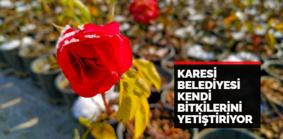 Karesi Belediyesi, parkların ve