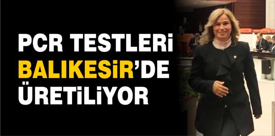 AK Parti Balıkesir Milletvekili