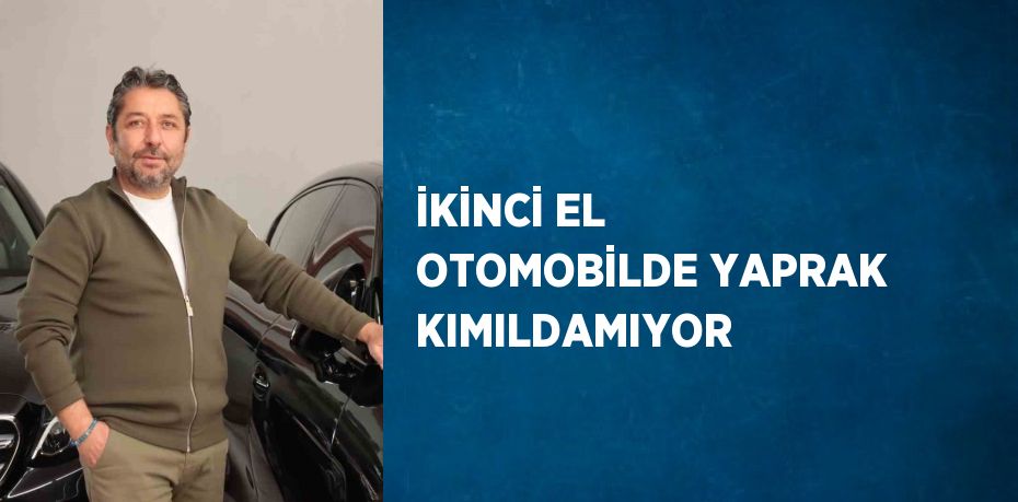 Kayseri’de galericilik yapan Ahmet