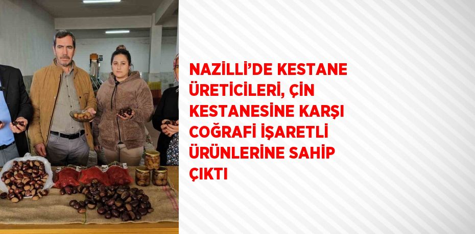 Aydın’ın Nazilli ilçesinde kestane