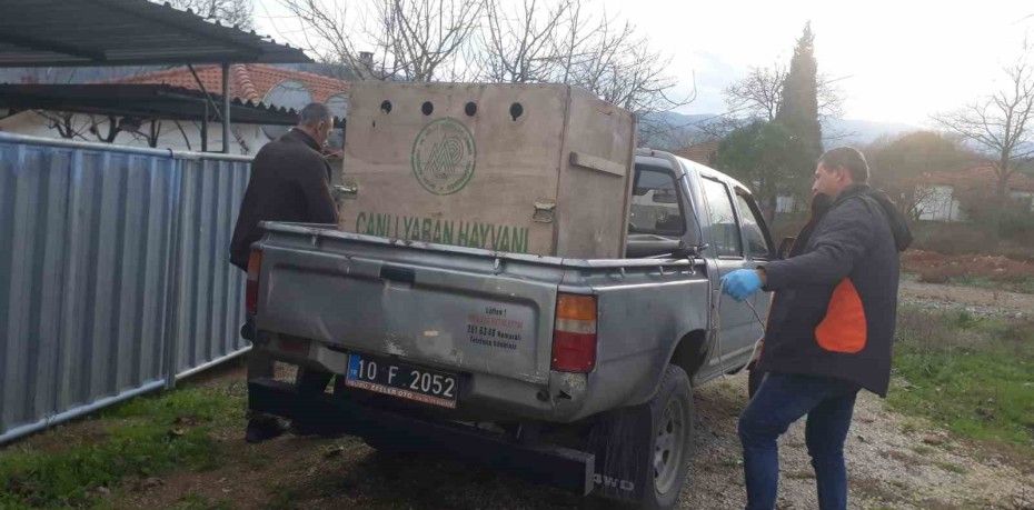 Balıkesir’in Gönen İlçesinde, yaralanan