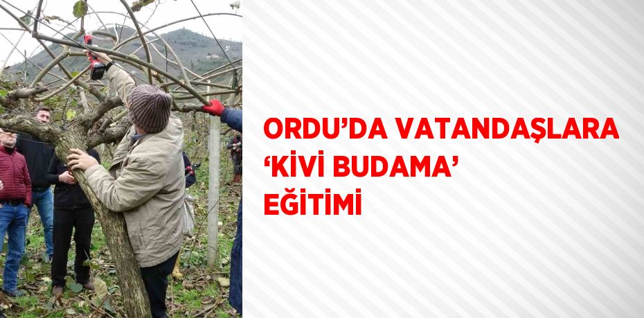 Ordu’da gün geçtikçe artan