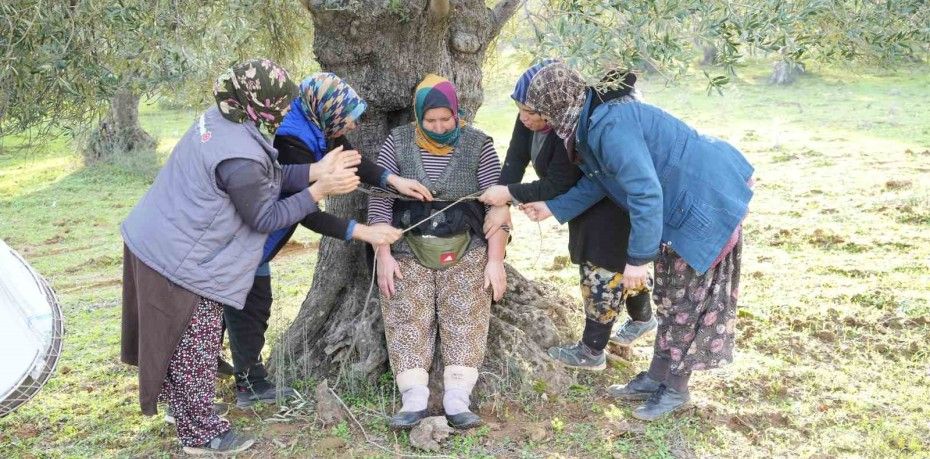 Zeytin ve zeytinyağı sektörünün