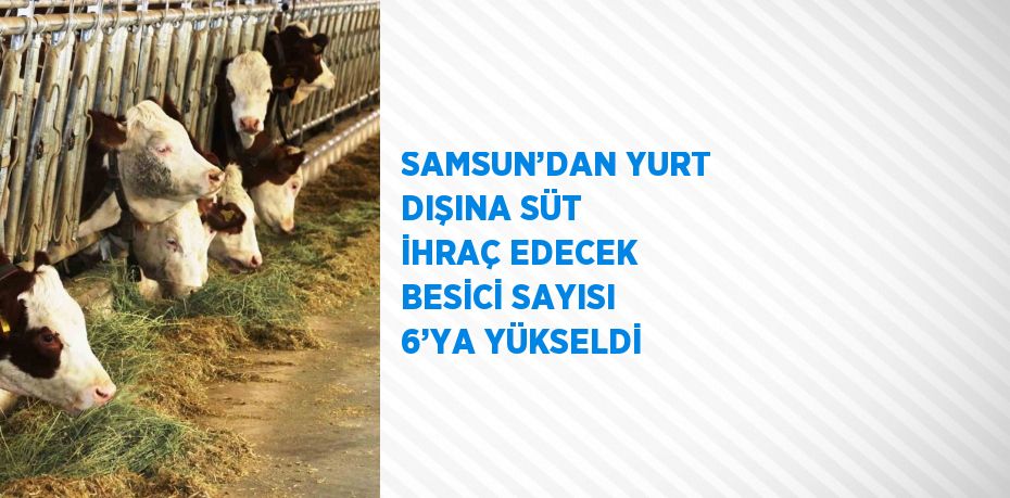 Samsun’da Avrupa Birliği ülkelerine