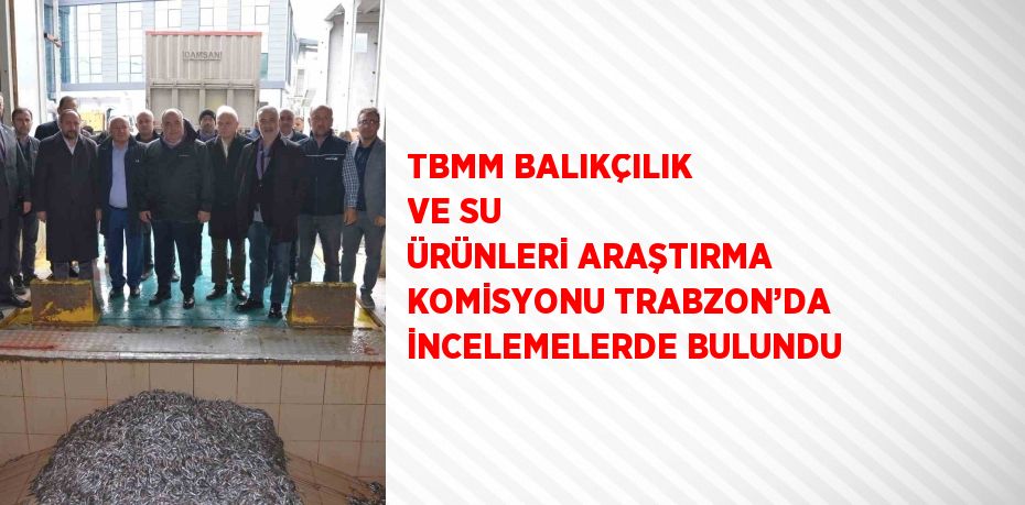 Balıkçılık ve su ürünleri