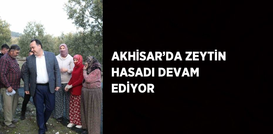 Zeytinin başkenti Manisa’nın Akhisar