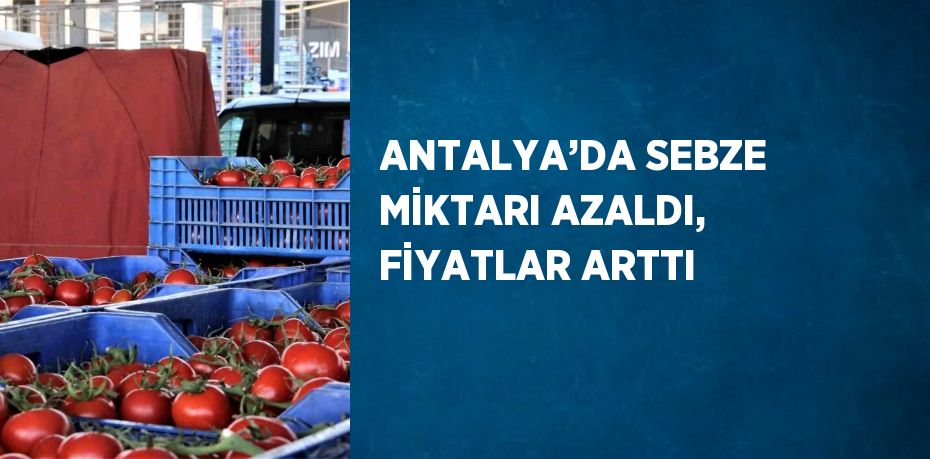 Antalya’da Aralık ayında domates