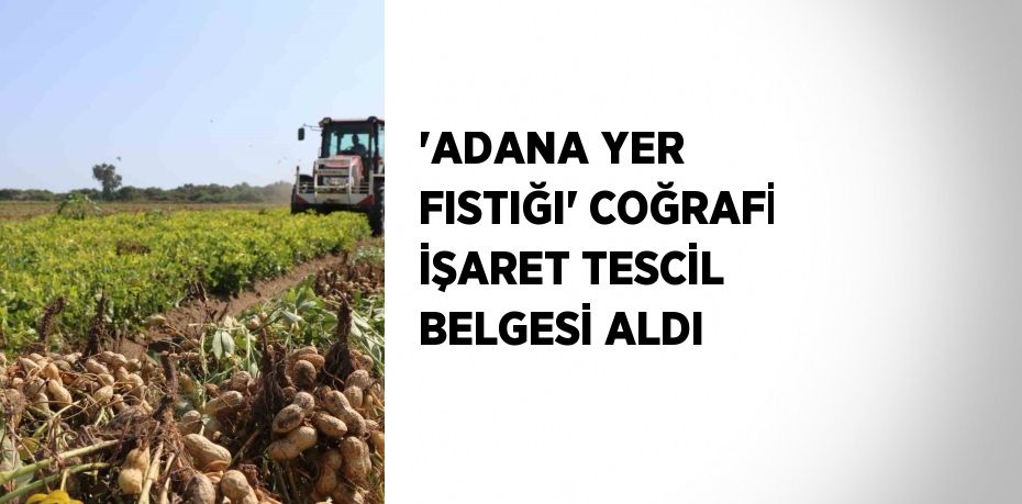 'Adana Yer Fıstığı', Türk