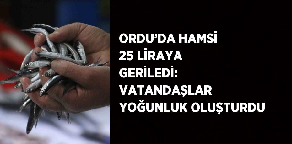 Ordu’da balıkçı tezgahlarında hamsi