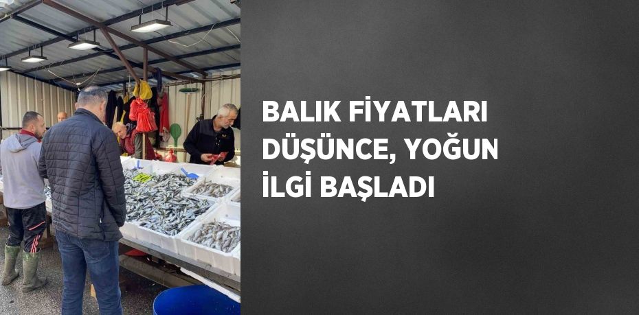 Zonguldak’ta balık fiyatlarının uygun