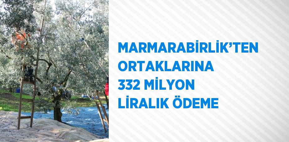 Marmarabirlik, devam eden 2023/2024