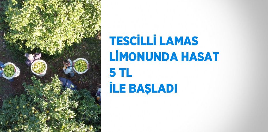 Türkiye’de limonun başkenti olarak