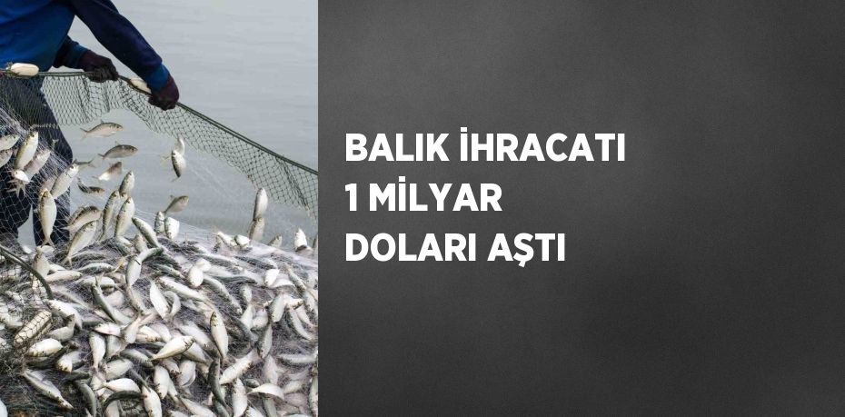 Türkiye’nin balık ihracat rekortmeni