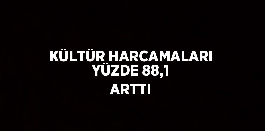 Kültür harcamaları 2022 yılında