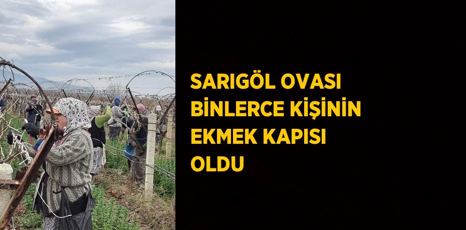 Manisa’nın verimli Sarıgöl Ovası